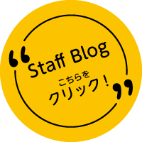 スタッフブログ